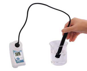 PAL-SALT PROBE